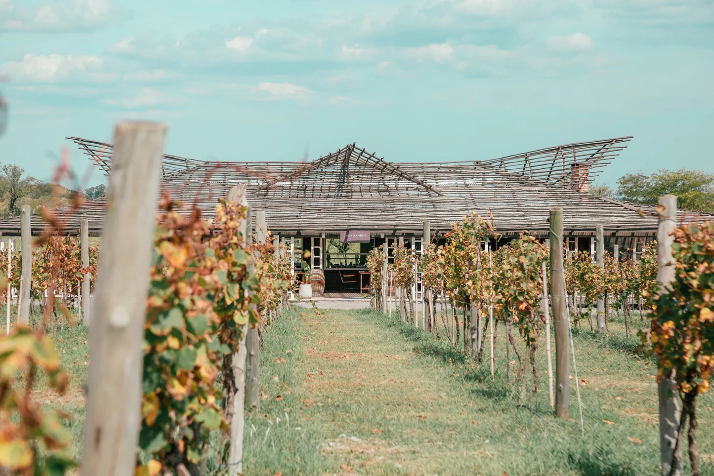 Gamboa Winery EXPERIENCE Wine Tasting And Lunch
