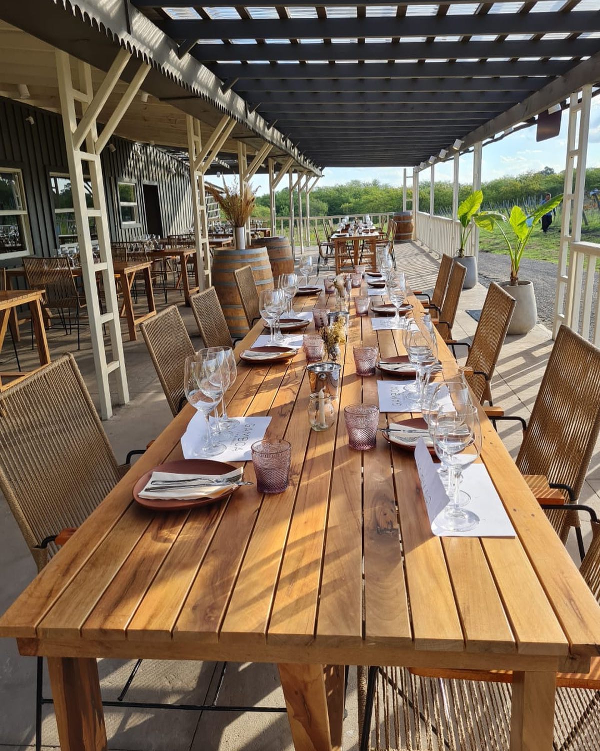 Gamboa Winery EXPERIENCE Wine Tasting And Lunch