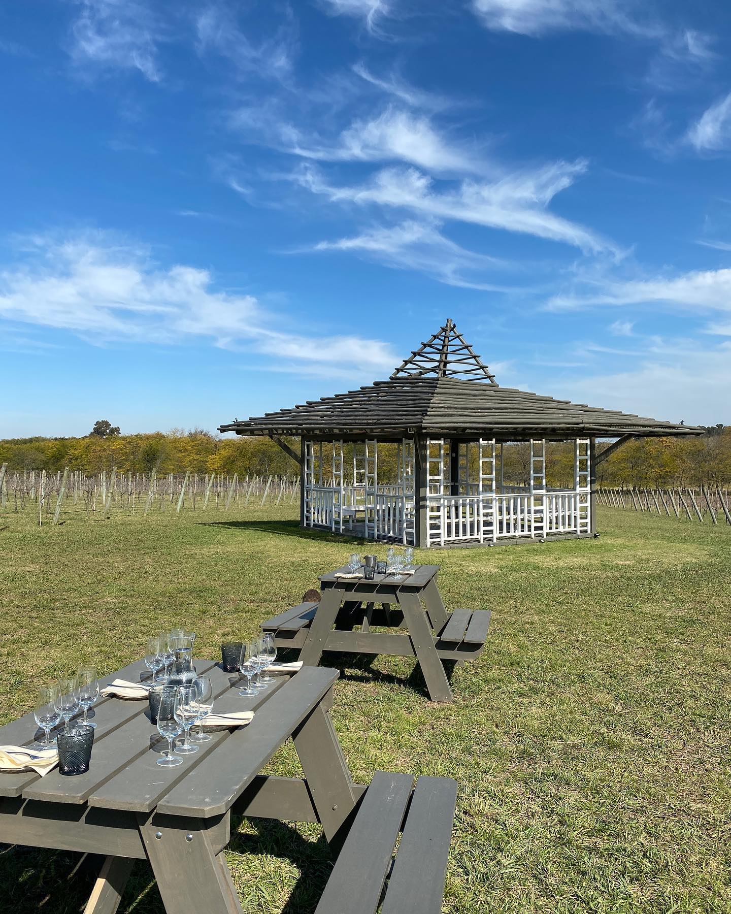 Gamboa Winery EXPERIENCE Wine Tasting And Lunch