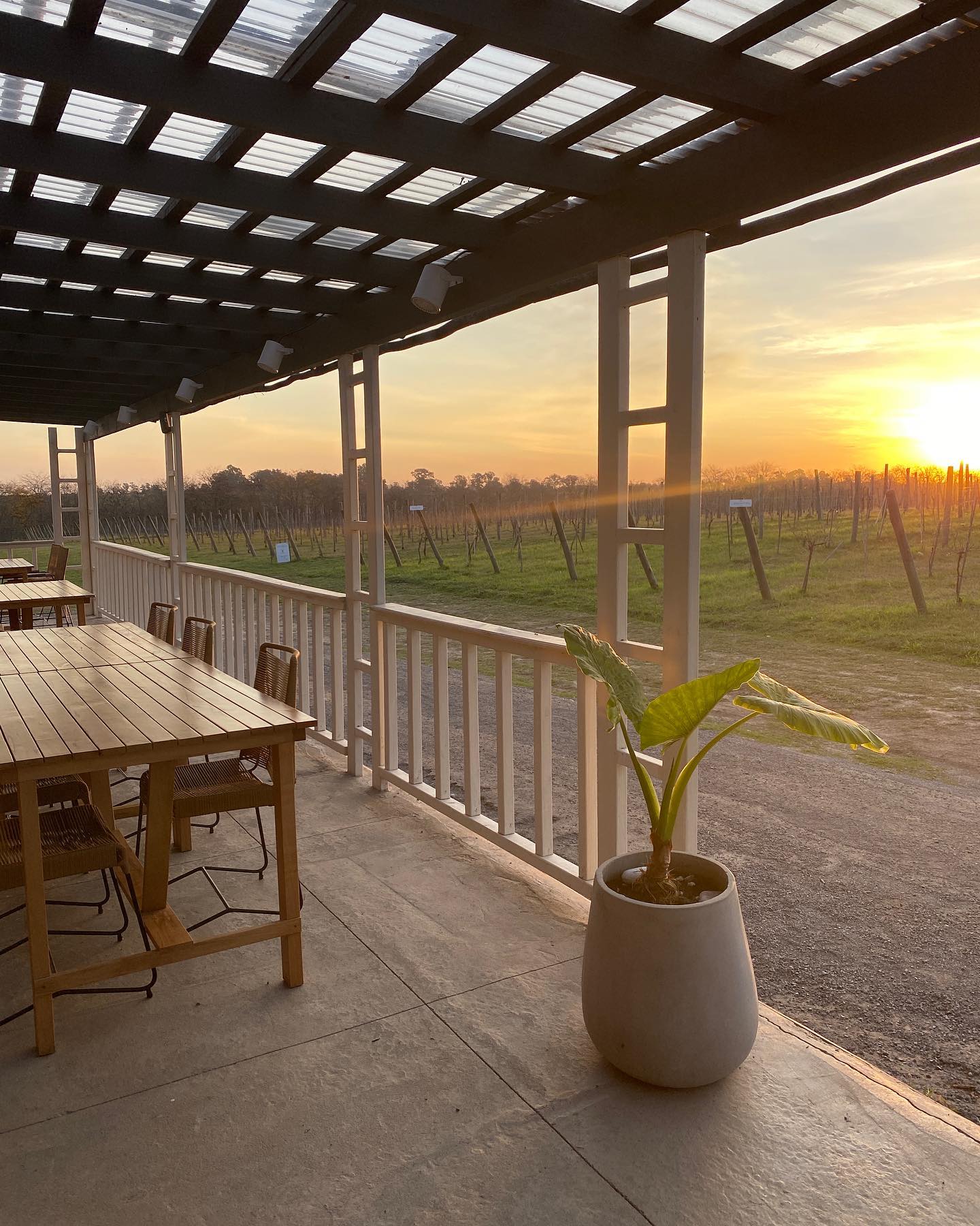 Gamboa Winery EXPERIENCE Wine Tasting And Lunch