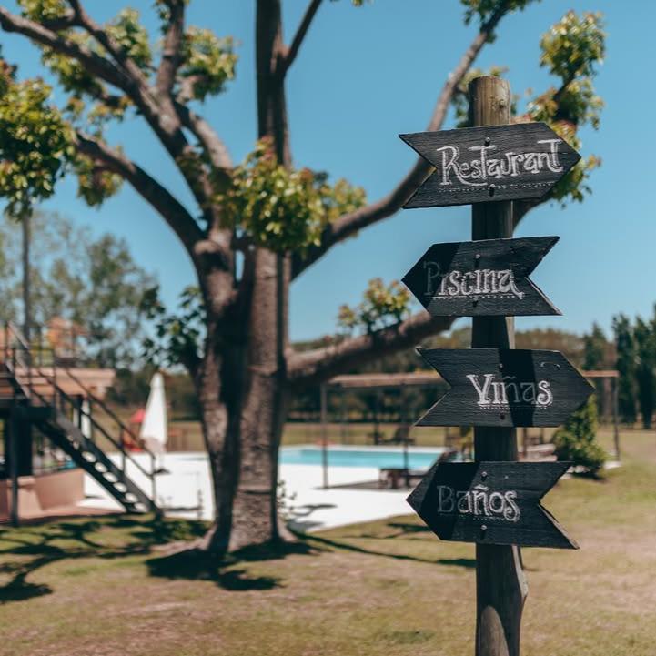 Colonia del Sacramento WINERY TASTING Day Tour Uruguay Ferry