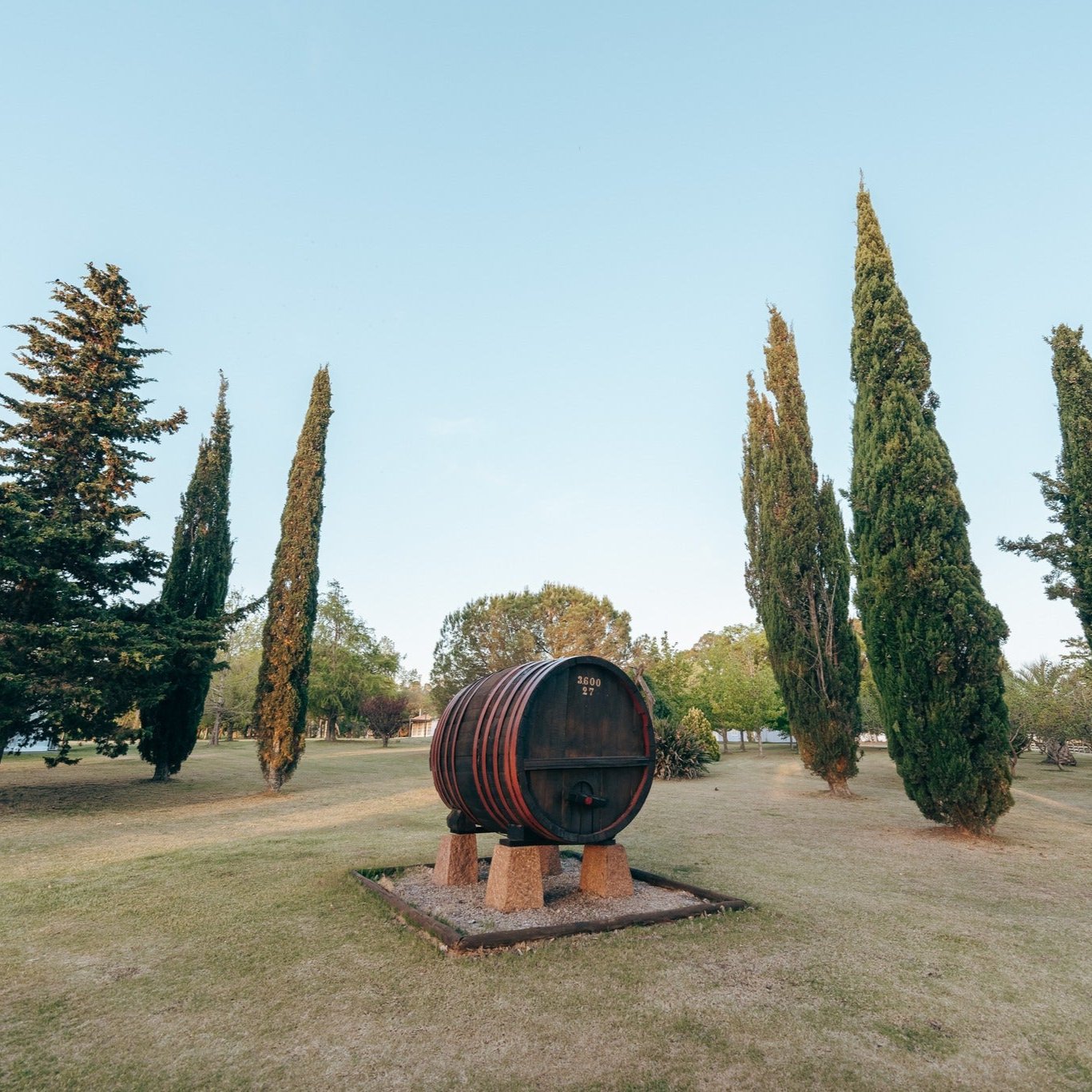 Colonia del Sacramento WINERY TASTING Day Tour Uruguay Ferry