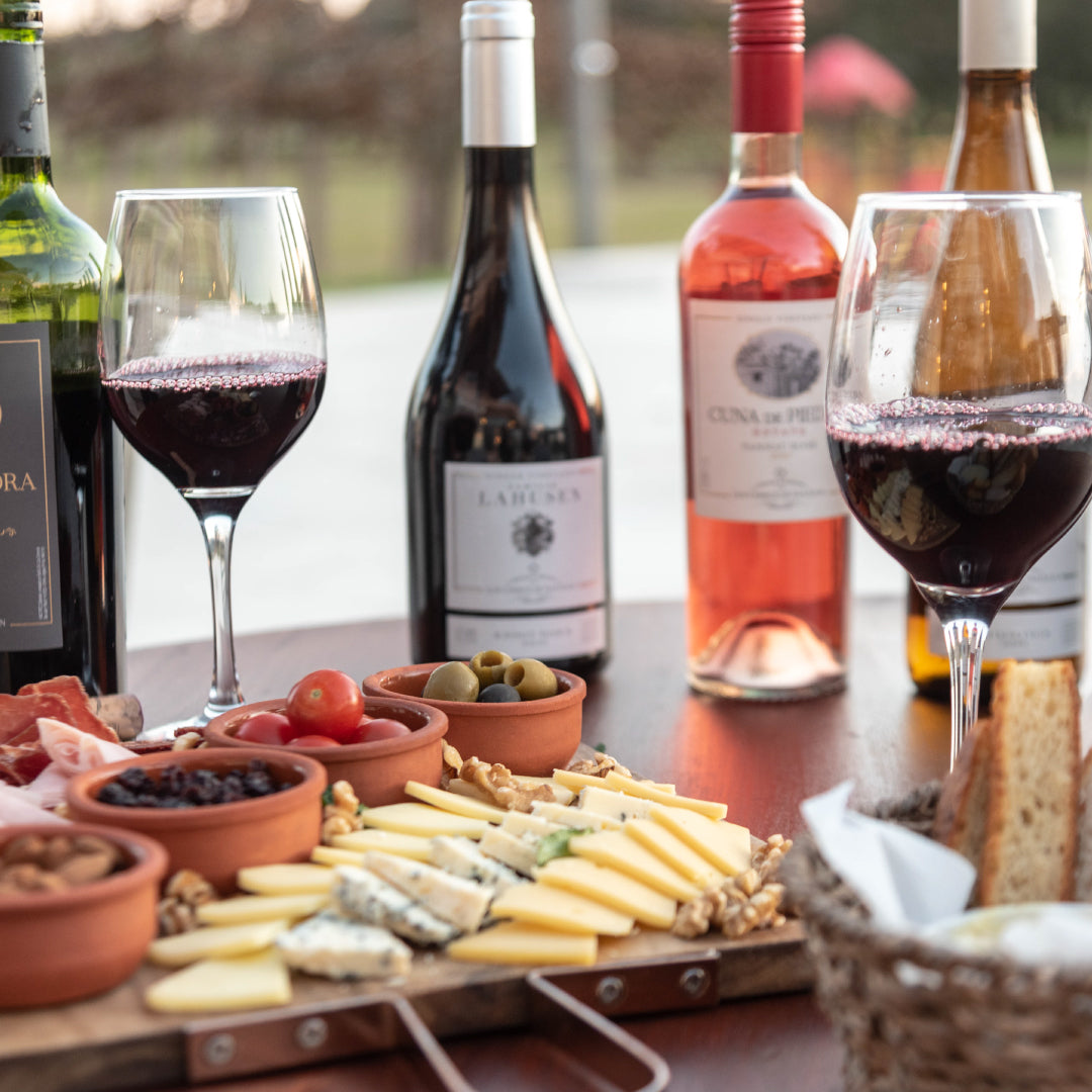 Colonia del Sacramento WINERY TASTING Day Tour Uruguay Ferry