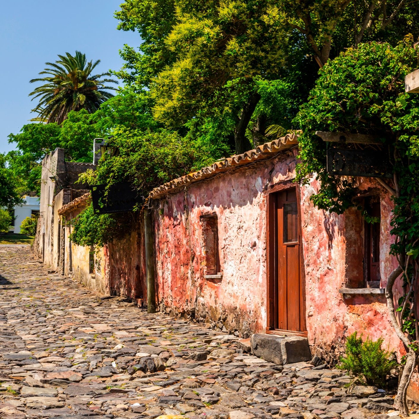 Colonia del Sacramento BULLRING GOURMET Day Tour Plaza de Toros Uruguay Ferry