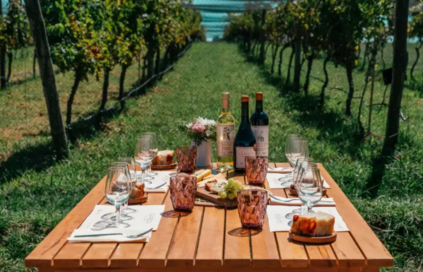 Gamboa Winery EXPERIENCE Wine Tasting And Lunch