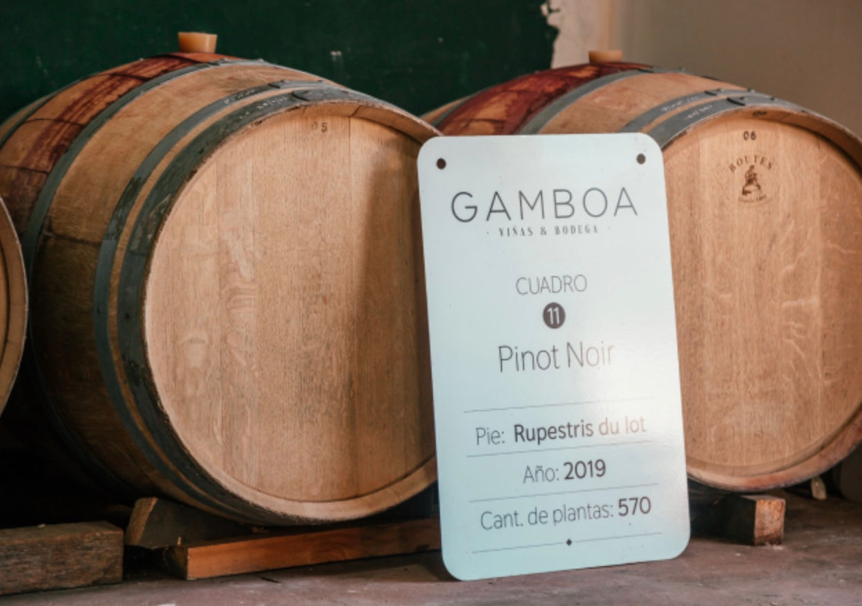 Gamboa Winery EXPERIENCE Wine Tasting And Lunch