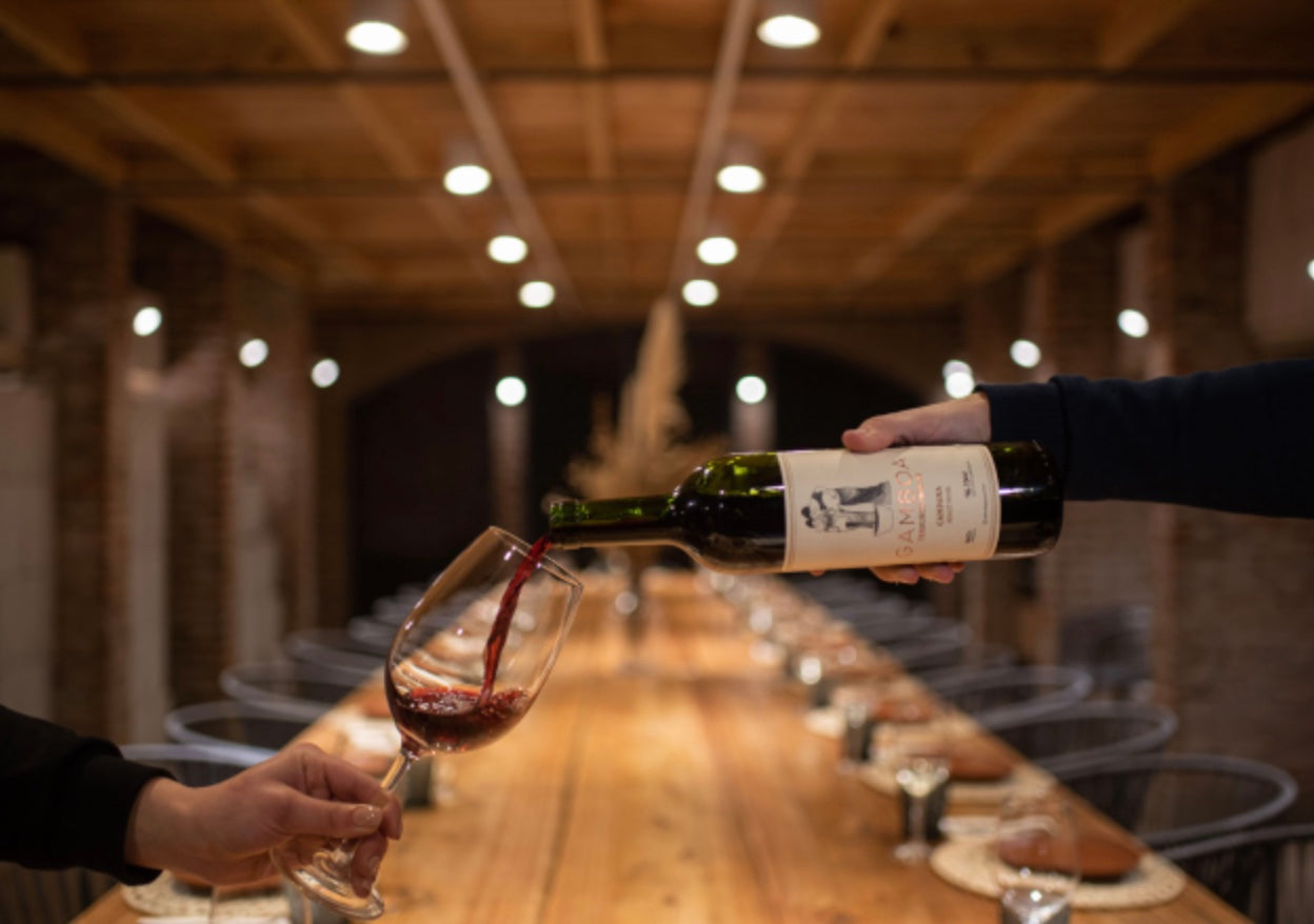 Gamboa Winery EXPERIENCE Wine Tasting And Lunch