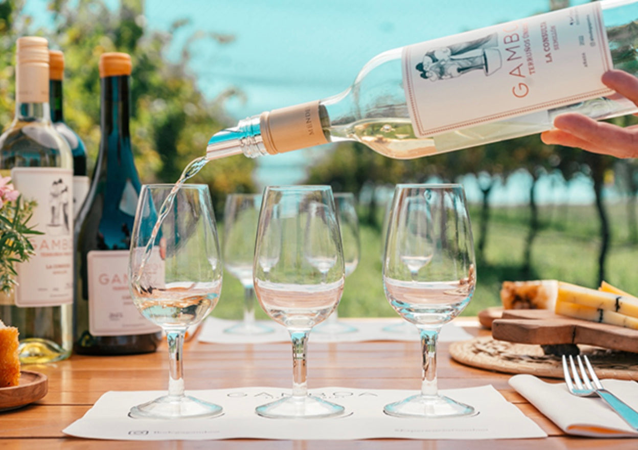 Gamboa Winery EXPERIENCE Wine Tasting And Lunch