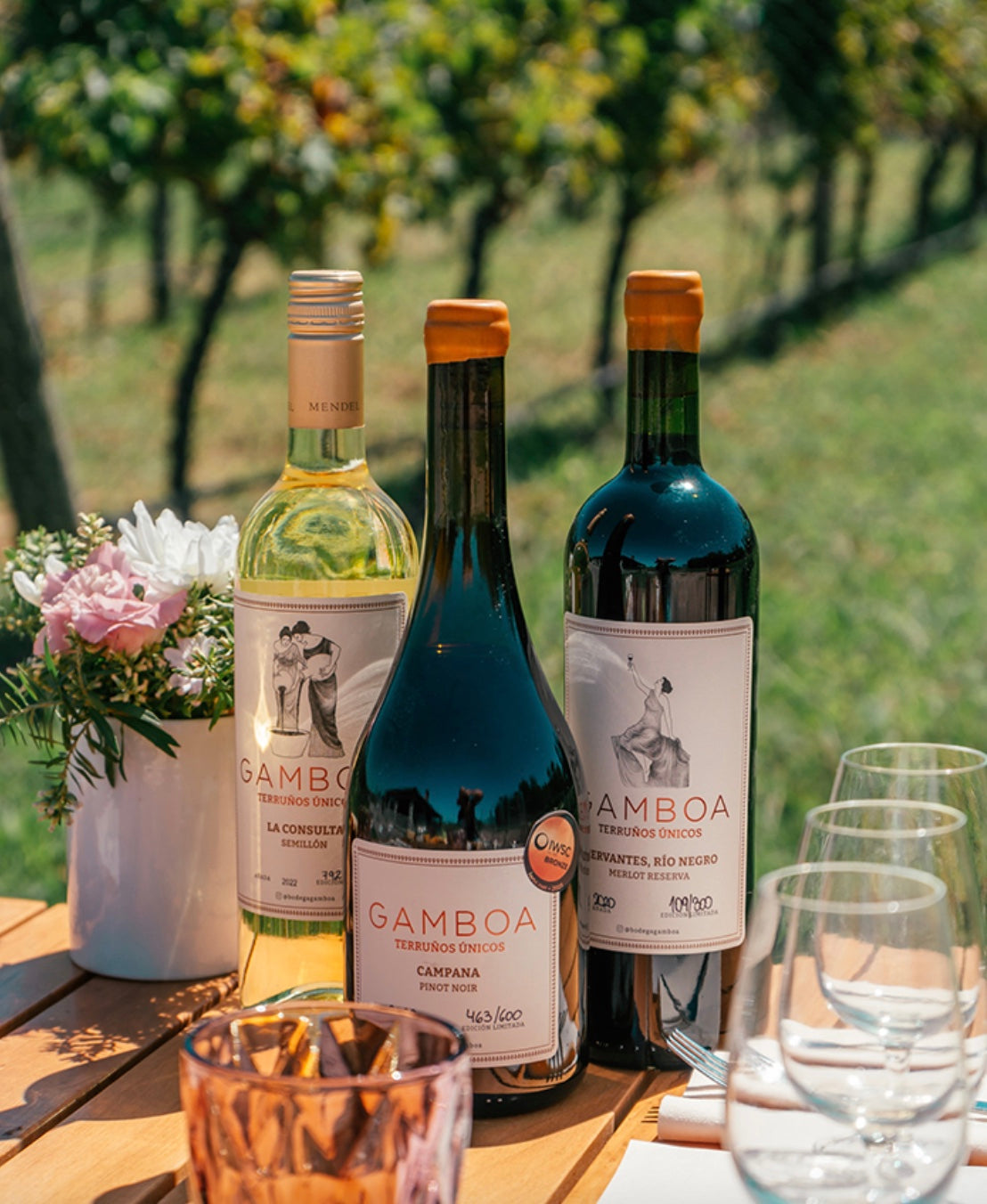 Gamboa Winery EXPERIENCE Wine Tasting And Lunch
