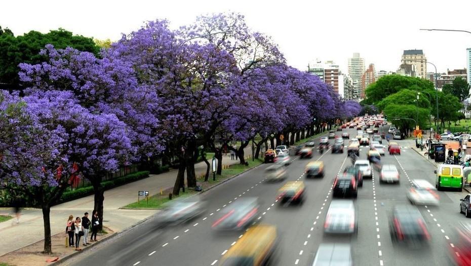 Private Airport Transfer AEROPARQUE Jorge Newbery Round Trip