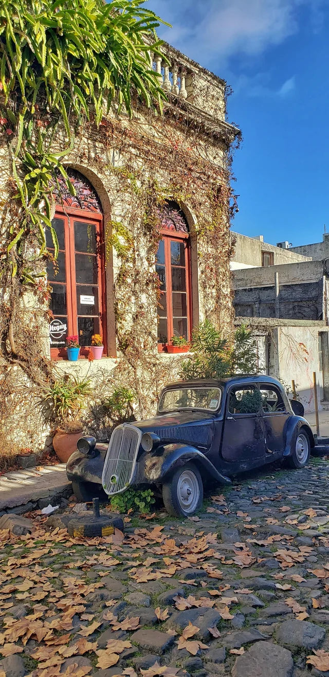 Colonia del Sacramento BULLRING GOURMET Day Tour Plaza de Toros Uruguay Ferry