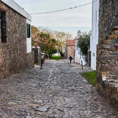 Colonia del Sacramento FREEDOM TO EXPLORE Day Tour Uruguay Ferry