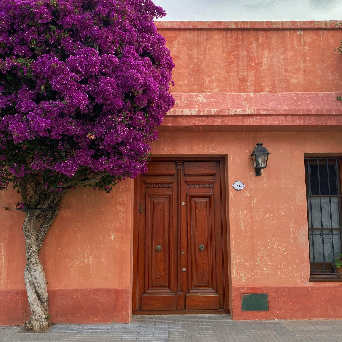 Colonia del Sacramento BULLRING GOURMET Day Tour Plaza de Toros Uruguay Ferry