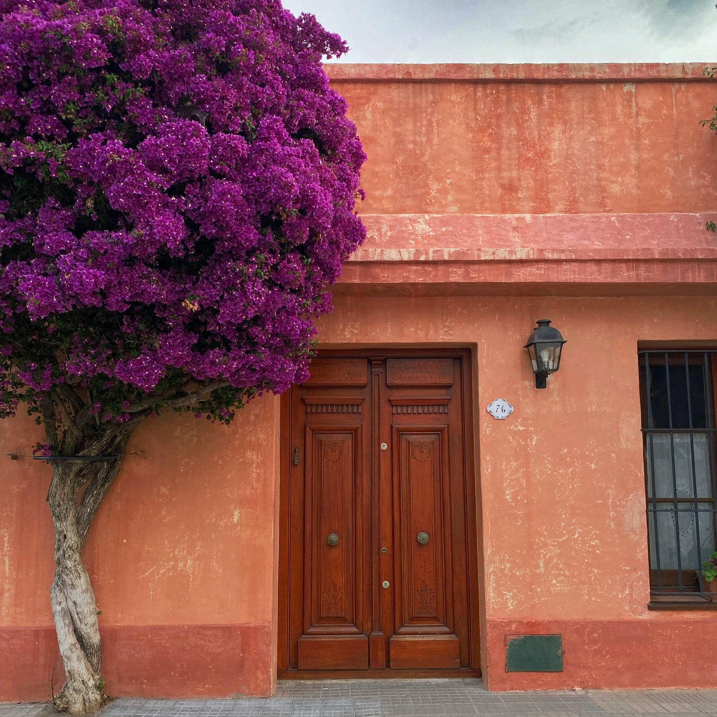 Colonia del Sacramento JOURNEY Day Tour Uruguay Ferry