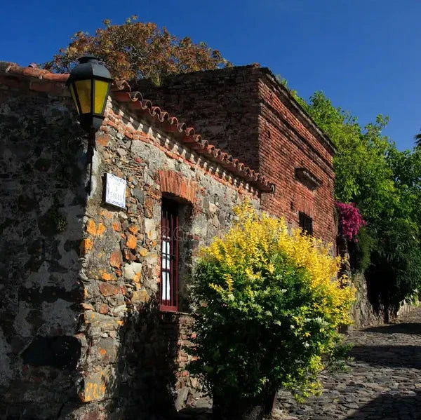 Colonia del Sacramento FREEDOM TO EXPLORE Day Tour Uruguay Ferry