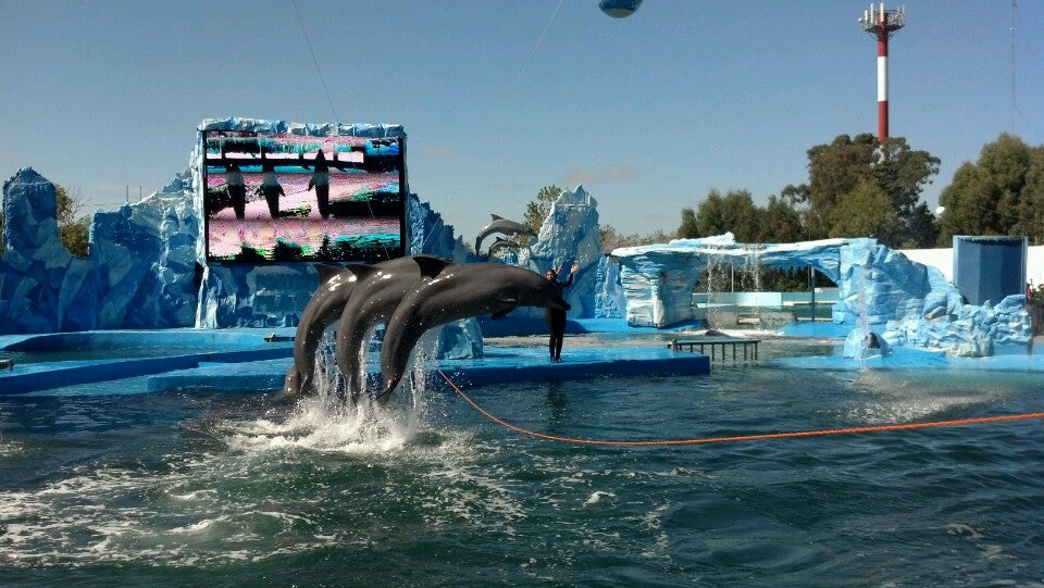 Mundo Marino Oceanário Parque Temático Aquático Com Transporte