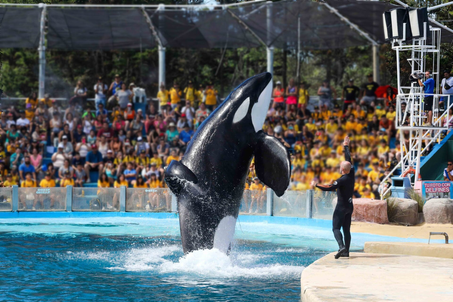 Mundo Marino Oceanário Parque Temático Aquático Com Transporte