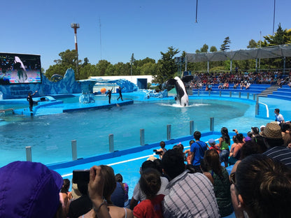 Mundo Marino Oceanário Parque Temático Aquático Com Transporte