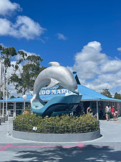 Mundo Marino Oceanário Parque Temático Aquático Com Transporte