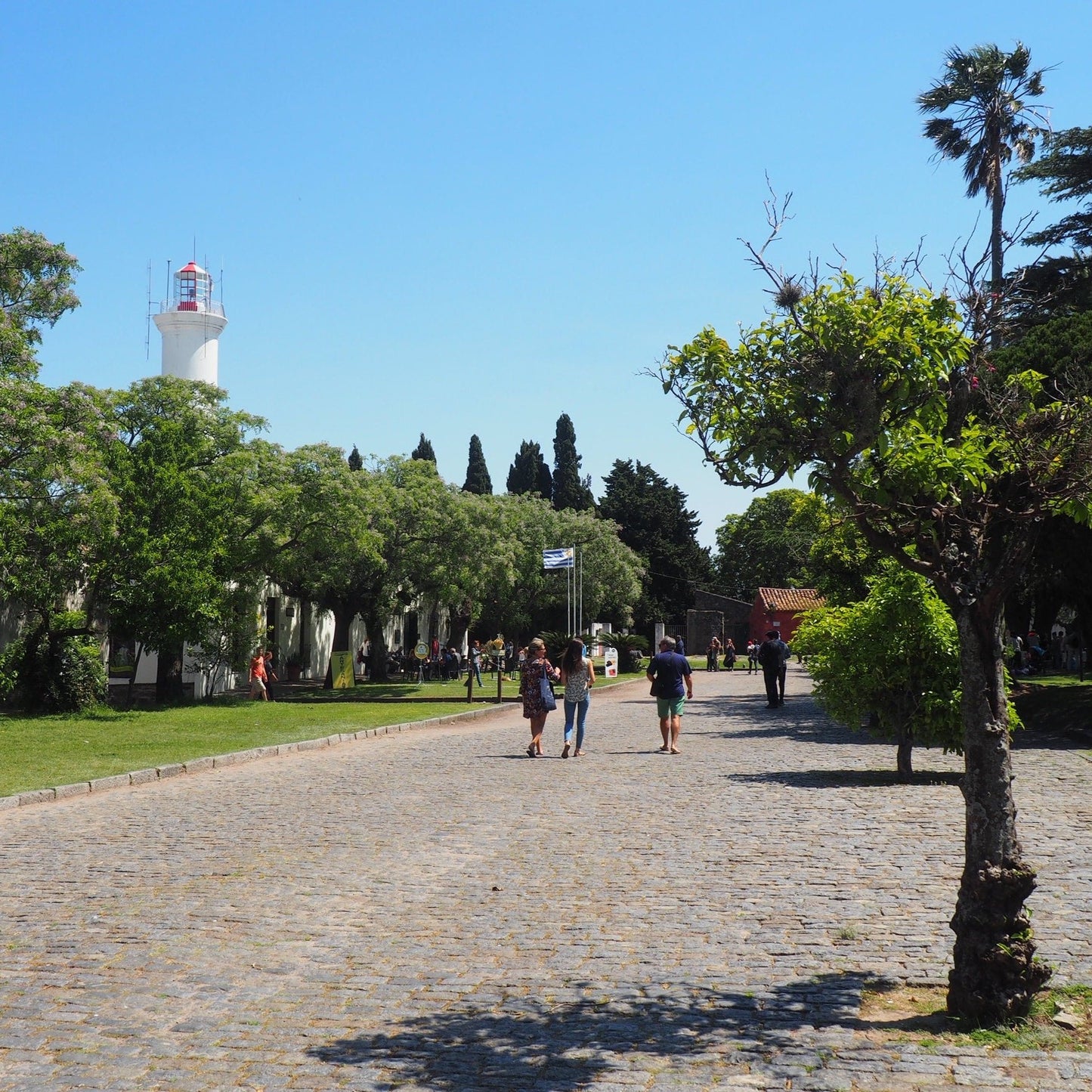 Colonia del Sacramento Tour VINÍCOLA Uruguai Ferry Boat