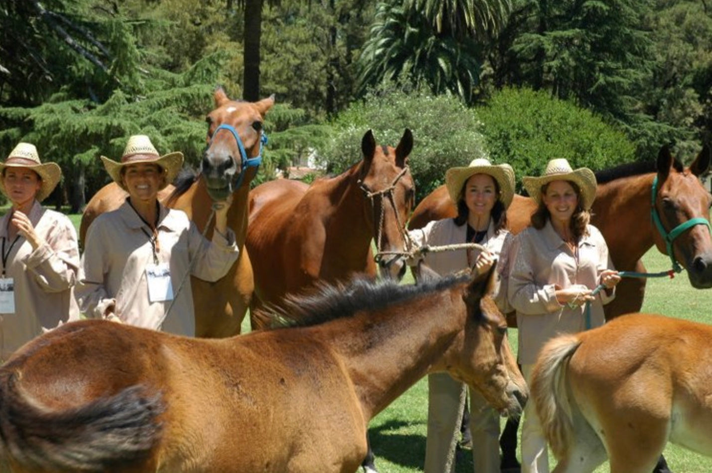 Gaucho Cowboy Ranch Day at ESTANCIA LA CANDELARIA CASTLE