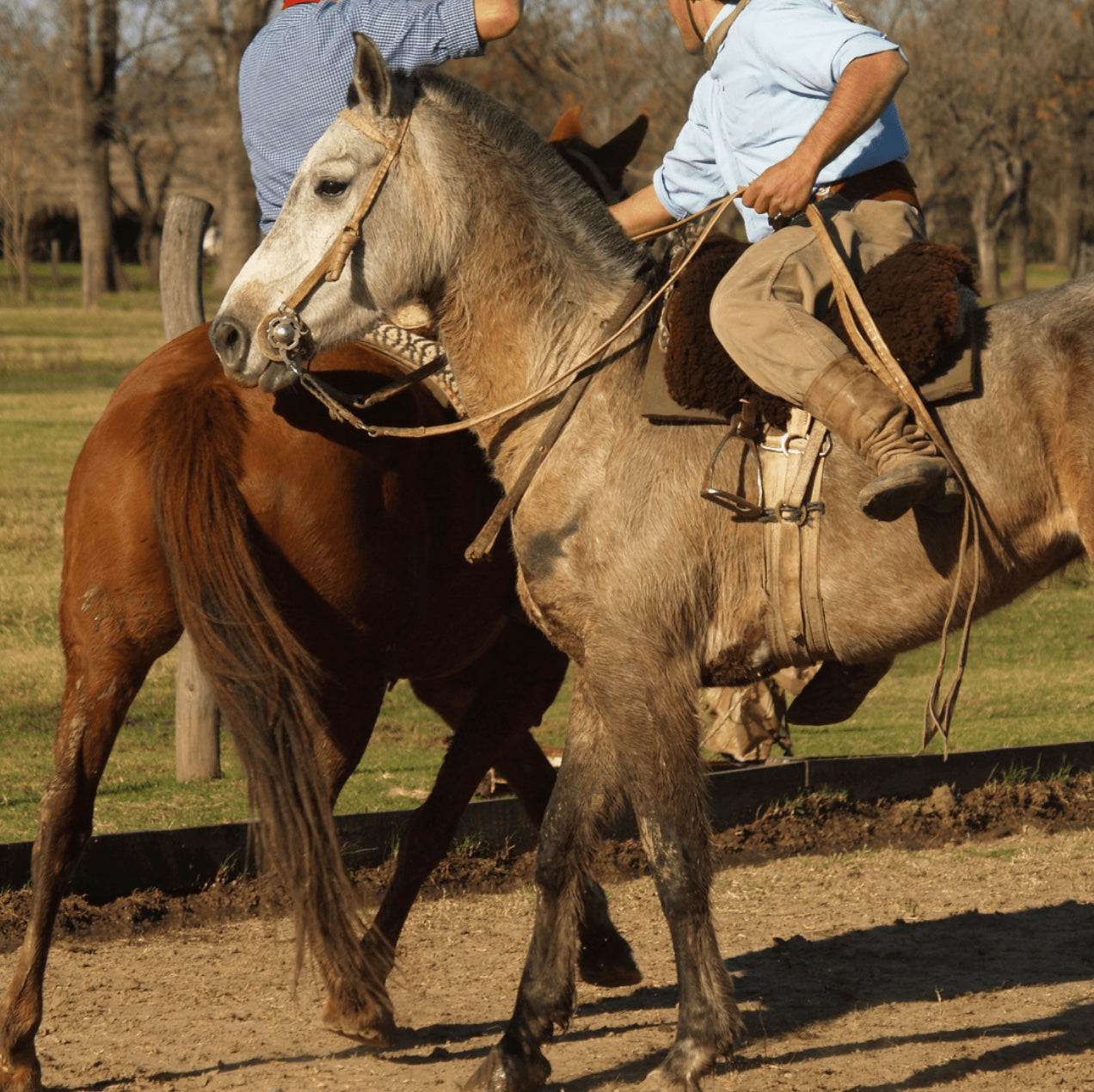 Gaucho Cowboy Ranch Day at ESTANCIA SANTA SUSANA