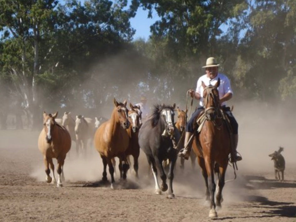 Gaucho Cowboy Ranch Day at ESTANCIA SANTA SUSANA