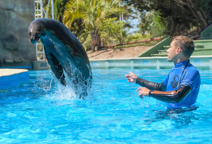 Mundo Marino Oceanário Parque Temático Aquático Com Transporte