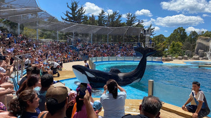 Mundo Marino Oceanário Parque Temático Aquático Com Transporte