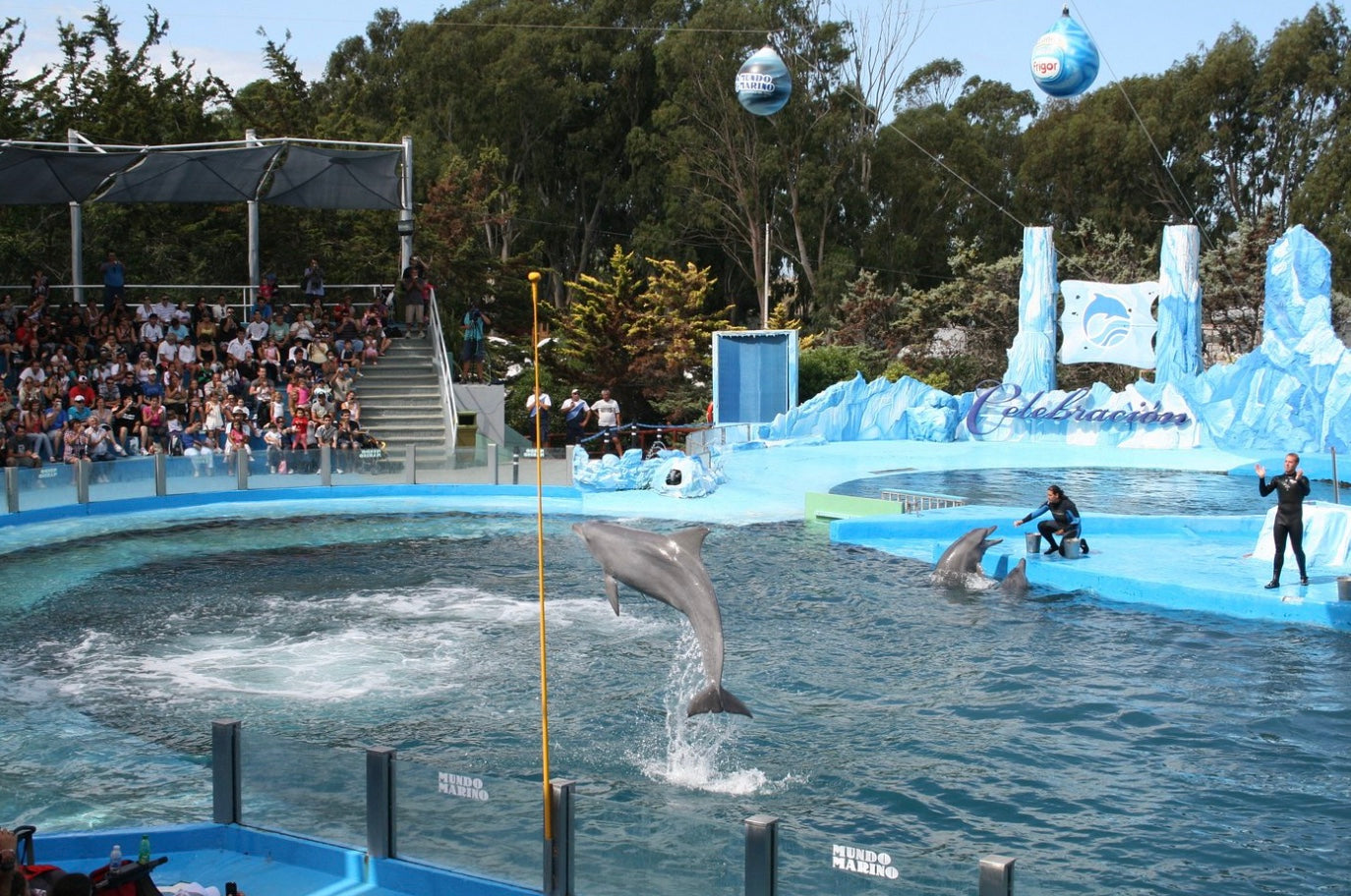 Mundo Marino Oceanário Parque Temático Aquático Com Transporte