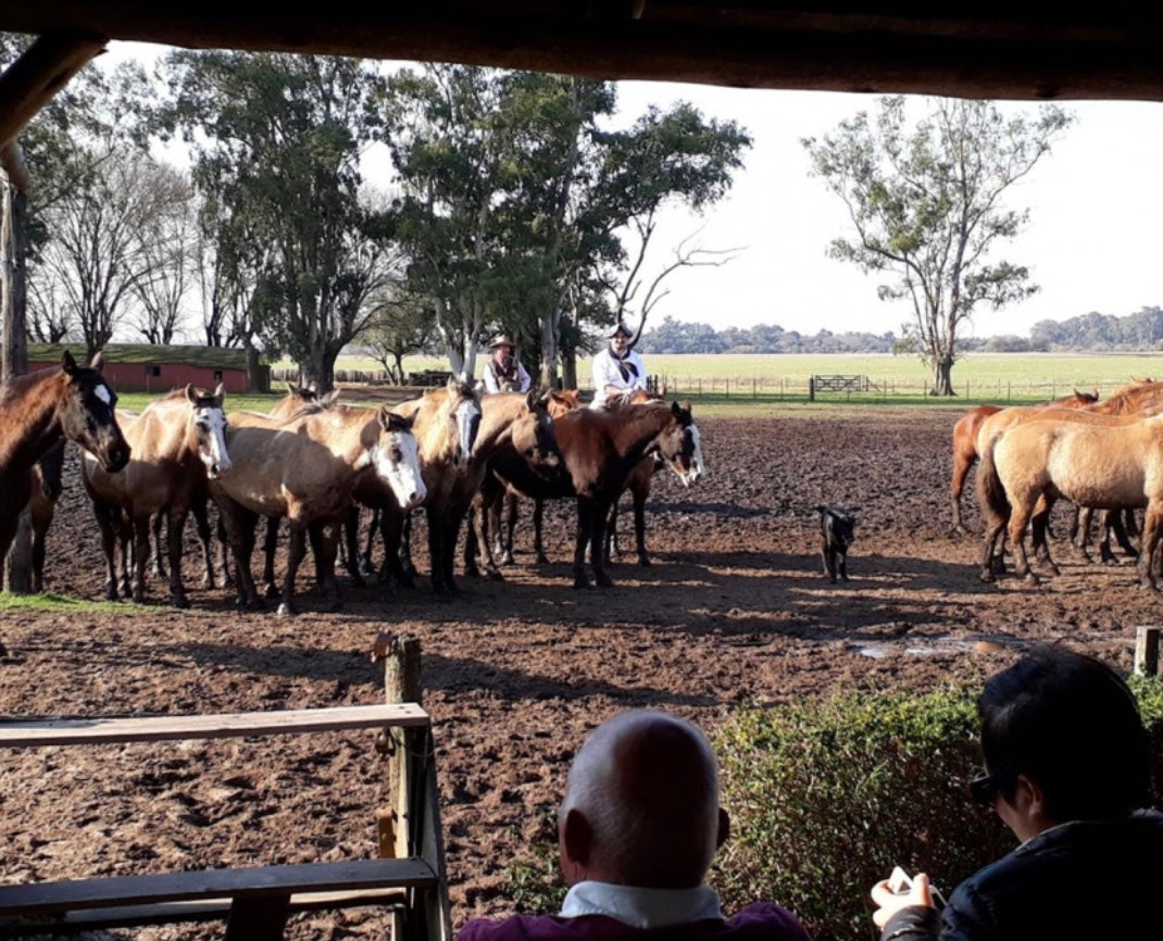 Gaucho Cowboy Ranch Day at ESTANCIA SANTA SUSANA