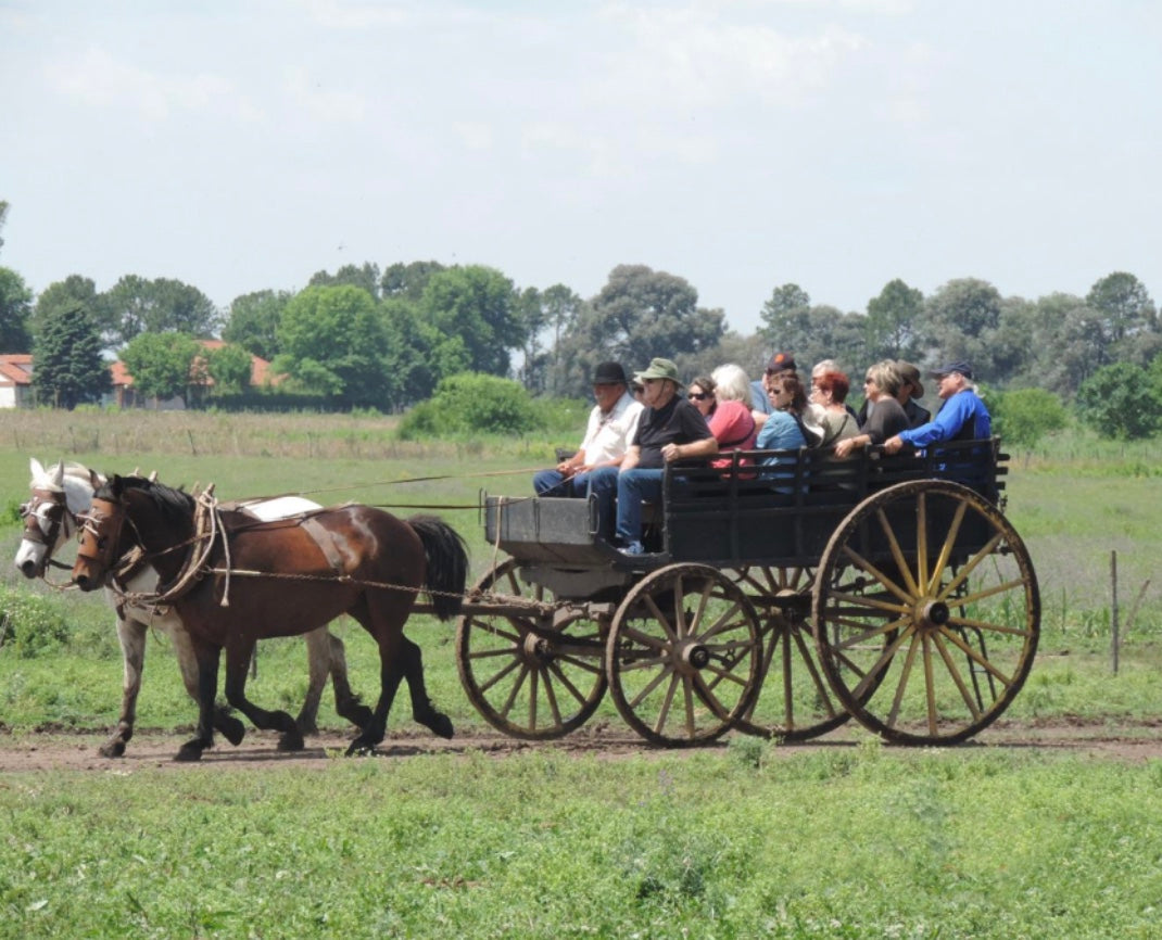 Gaucho Cowboy Ranch Day at ESTANCIA SANTA SUSANA