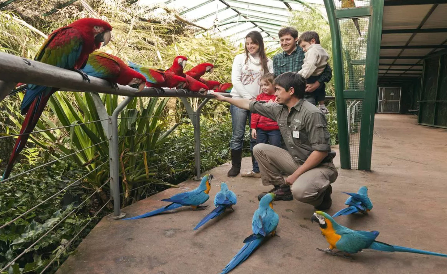 Bioparque Temaikèn Zoológico Com Transporte