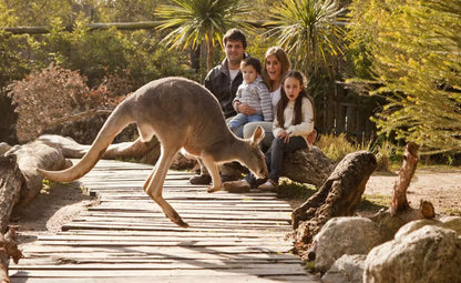 Bioparque Temaikèn Zoológico Com Transporte