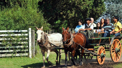 Gaucho Cowboy Ranch Day at ESTANCIA DON SILVANO