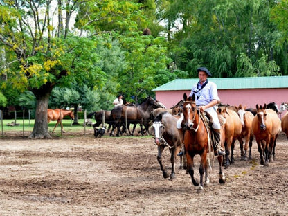 Gaucho Cowboy Ranch Day at ESTANCIA SANTA SUSANA