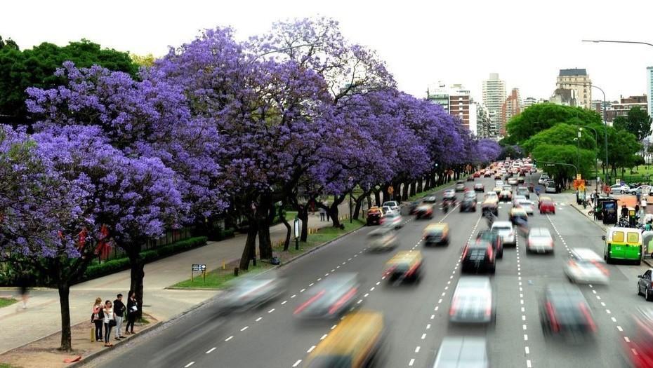 Transfer Privado Aeroporto EZEIZA Só Ida ou Volta